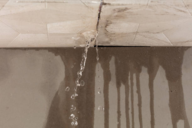 Professional Sewage Cleanup technician working in Mulino, OR